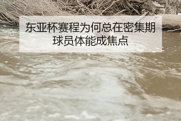 东亚杯赛程为何总在密集期 球员体能成焦点